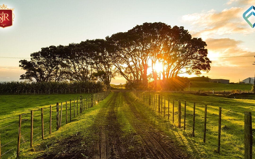 Finding My Way to Freedom from Addiction, Part 1